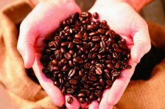 A brief introduction to roasting of coffee beans