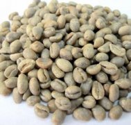 Basic knowledge about round beans