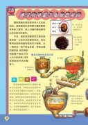 How is instant coffee made?