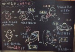 # Coffee Encyclopedia # two pictures to tell you about coffee beans from fruit to beans