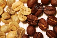 Central America Puerto Rico San Pedro Estate Coffee Beans