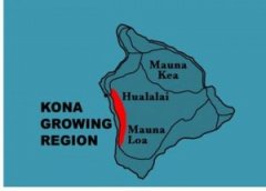 Kona Coffee of noble blood