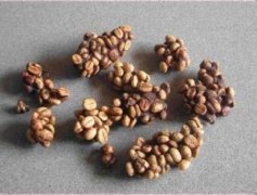 The unique Kopi Luwak