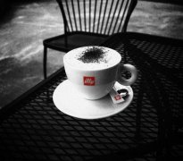 Italian national treasure coffee brand illy the purest coffee
