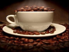Brazilian Sandoz coffee beans