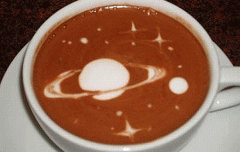 Beautiful cosmic coffee flower