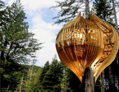 The golden coffee shop on the tree is full of wonders.