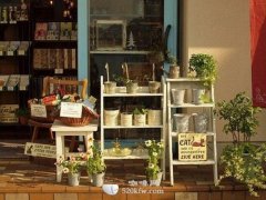 What is a cafe lifestyle?