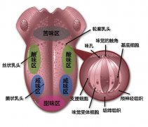 Taste map!