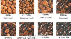 Introduction to roasting of coffee beans