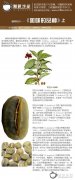 Coffee knowledge-[varieties of coffee]