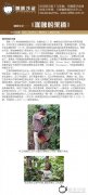 Coffee knowledge-[Coffee picking]