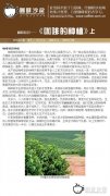 Coffee knowledge-[Coffee cultivation]