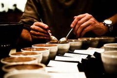 Matters needing attention in Coffee Service in Cafe Operation