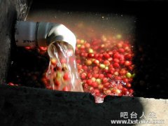 Coffee beans are hard to come by.