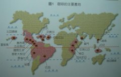 Coffee Encyclopedia Coffee beans production maps of different countries in the world differences in taste characteristics of coffee beans