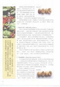 The basics of coffee beans coffee three original species