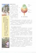 The basic knowledge of coffee beans the cultivation process of coffee