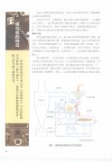 Construction of baking machine