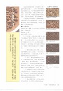 Introduction to baking operation of roaster