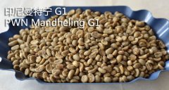 Coffee beans introduce Indonesia's delicious Manning.