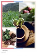 The eight most famous coffee in the world, Brazil Bourbon Santos Coffee-smooth and moist