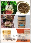 Eight most famous Coffee Columbia in the World