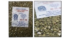 Coffee knowledge Panama Rosa Coffee Fine Coffee