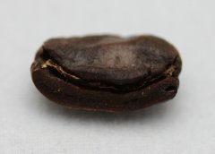 Look, hear, ask and buy high quality coffee beans