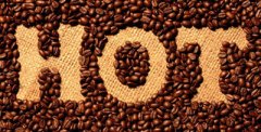 Specifications and grades of coffee beans in coffee encyclopedia