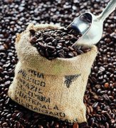 10 essential elements of boutique coffee beans