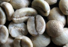 World boutique coffee beans Nicaraguan coffee