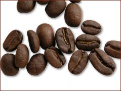 Pictures of Jamaican coffee beans blue mountain coffee beans