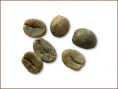 Pictures of boutique coffee beans enjoy pictures of coffee beans in Costa Rica