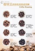 Coffee beans roasting degree description diagram