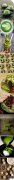 Matcha coffee and matcha gourmet coffee life