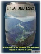 The Beauty of Classical balance Jamaica Blue Mountain Coffee