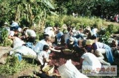 The processing method of High-quality Coffee and Coffee