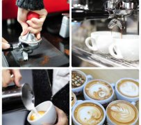 General knowledge of boutique Coffee