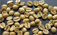 Introduction to Brazilian Santos Coffee Raw beans