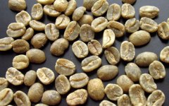 Boutique coffee beans introduce Colombian SUPREMO grade coffee raw beans