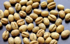 Boutique Coffee beans introduce Tanzania PB Coffee Raw beans / Round beans