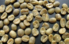 Fine Coffee study Yunnan BM (Blue Mountain) Coffee Raw beans