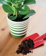 Coffee recycling coffee grounds