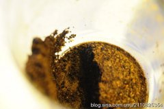 Common sense of Coffee making skills of siphon Coffee extraction