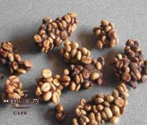 The Development of Fine Coffee Common sense Musk Coffee