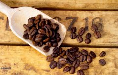 The Common sense of Fine Coffee beans Coffee beans