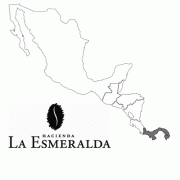 One of the top boutique coffee beans, Panamanian Rosa Coffee (Geisha)