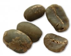 Mantenin coffee beans on the island of Sumatra, Indonesia