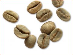 Pictures of fine coffee beans and small coffee beans in Brazil